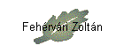 Fehérvári Zoltán