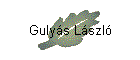 Gulyás László