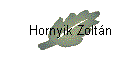 Hornyik Zoltán