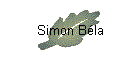 Simon Béla