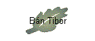 Bn Tibor