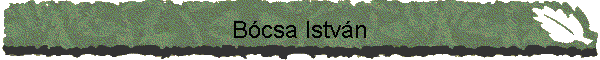 Bcsa Istvn
