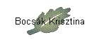 Bocsk Krisztina