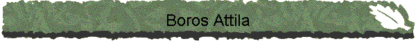Boros Attila