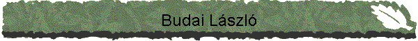 Budai Lszl
