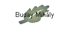 Buday Mihly