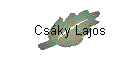 Csky Lajos