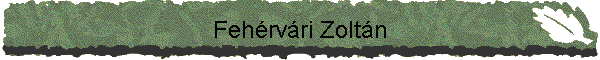 Fehrvri Zoltn