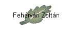 Fehrvri Zoltn