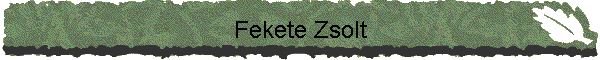 Fekete Zsolt