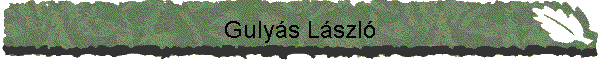 Gulyás László