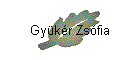 Gykr Zsfia