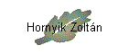 Hornyik Zoltn