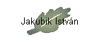 Jakubik Istvn