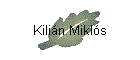 Kilin Mikls