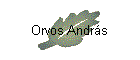 Orvos Andrs