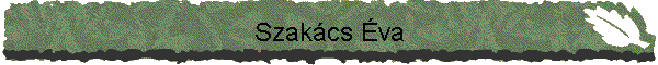 Szakcs va