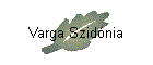 Varga Szidnia